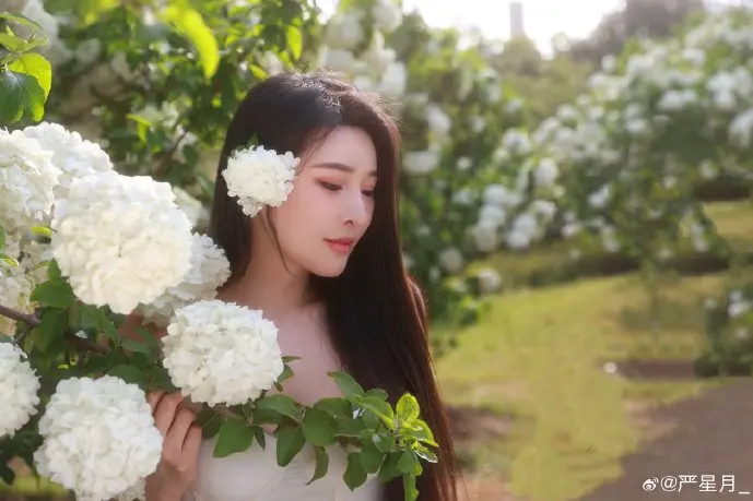 下载互传软件界面